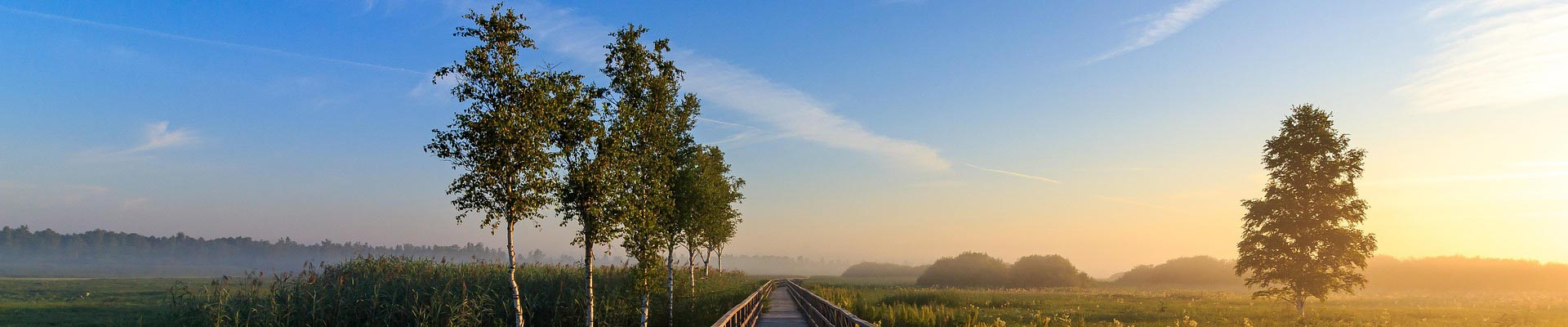 工程案例